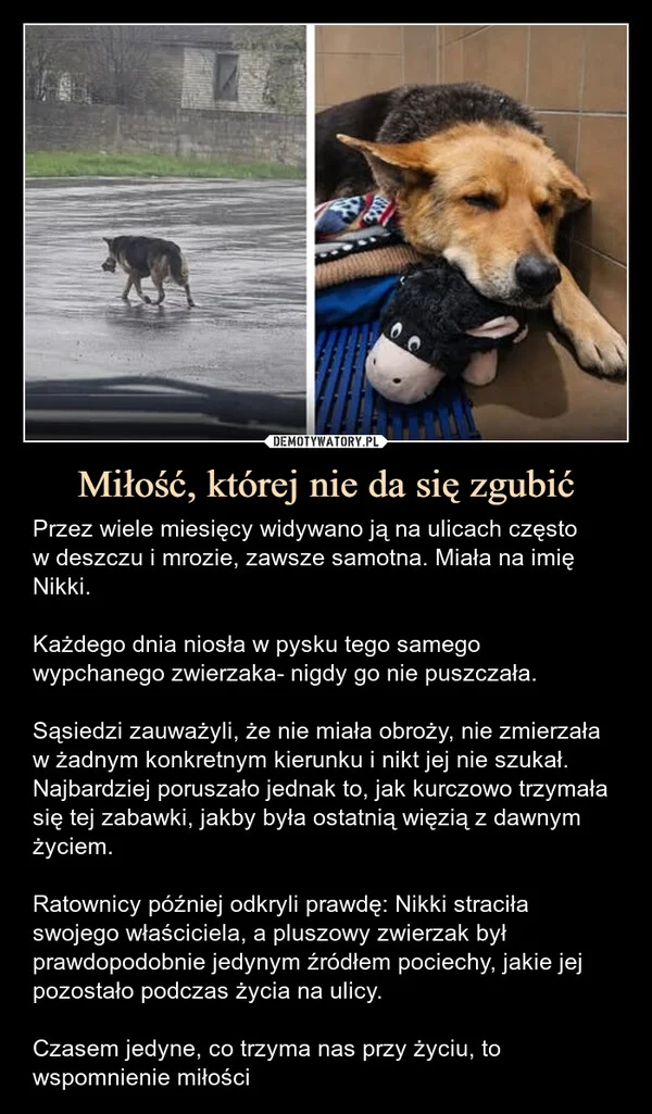 
    Miłość, której nie da się zgubić