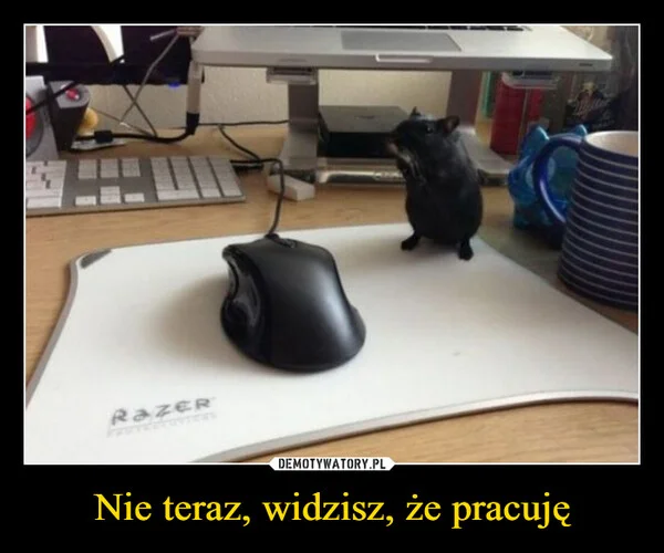 
    Nie teraz, widzisz, że pracuję