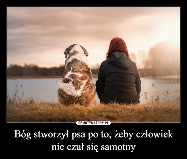 
    Bóg stworzył psa po to, żeby człowiek nie czuł się samotny