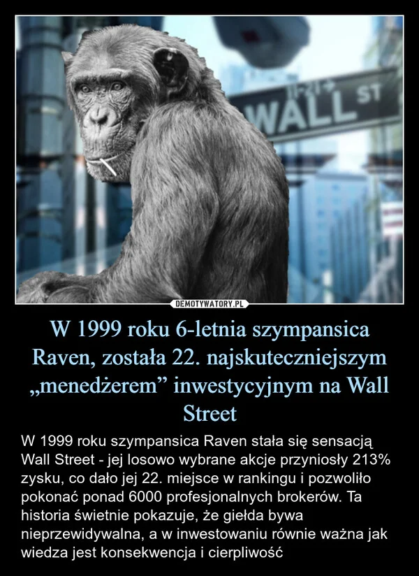 
    W 1999 roku 6-letnia szympansica Raven, została 22. najskuteczniejszym „menedżerem” inwestycyjnym na Wall Street
