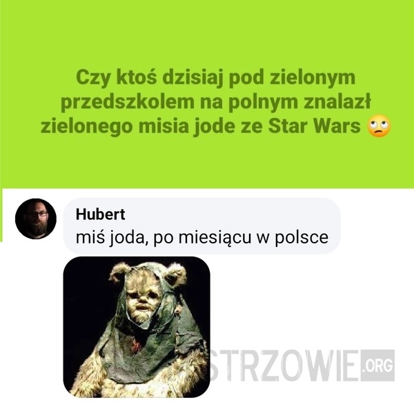 
    Miś Yoda