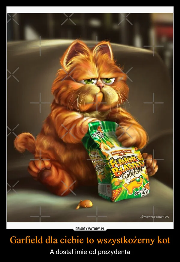 
    Garfield dla ciebie to wszystkożerny kot