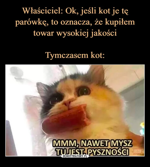 
    Właściciel: Ok, jeśli kot je tę parówkę, to oznacza, że kupiłem towar wysokiej jakości Tymczasem kot:
