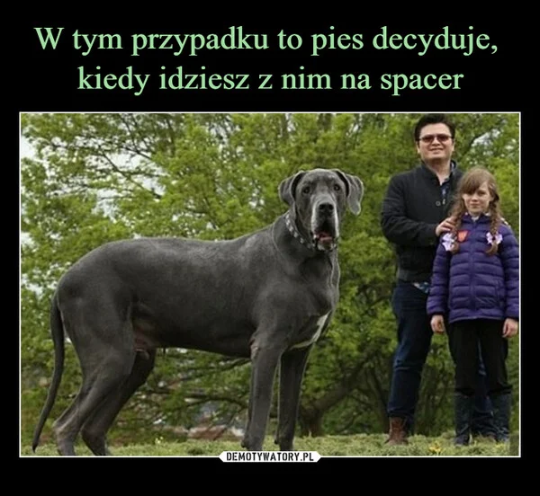 
    W tym przypadku to pies decyduje, kiedy idziesz z nim na spacer