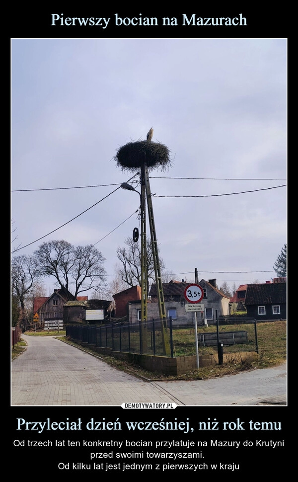 
    Pierwszy bocian na Mazurach Przyleciał dzień wcześniej, niż rok temu