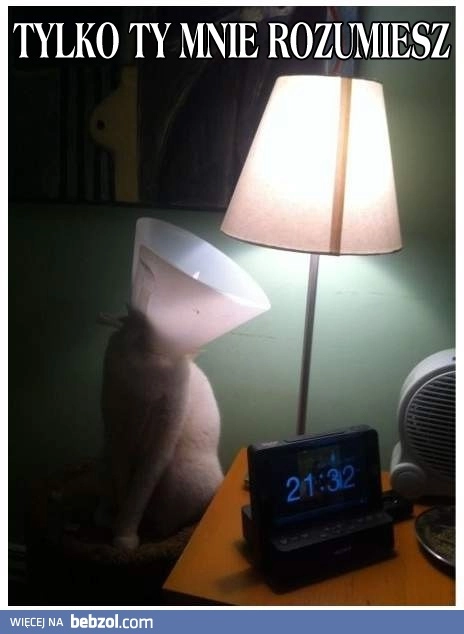 
    Prawdziwa przyjaźń