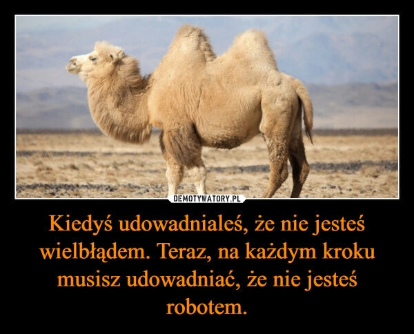 
    Kiedyś udowadnialeś, że nie jesteś wielbłądem. Teraz, na każdym kroku musisz udowadniać, że nie jesteś robotem.