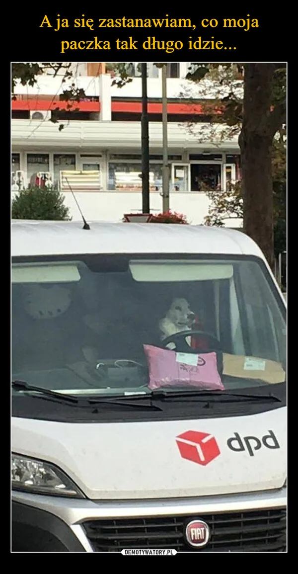 
    A ja się zastanawiam, co moja paczka tak długo idzie...