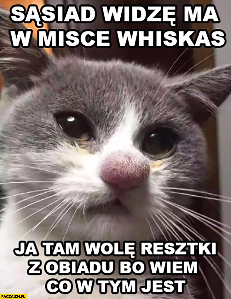 
    Sąsiad widzę ma w misce Whiskas, ja tam wolę resztki z obiadu bo wiem co w tym jest kot nosacz cebulak