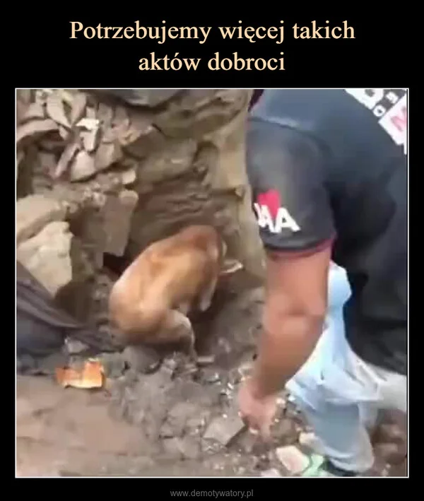 
    Potrzebujemy więcej takich aktów dobroci