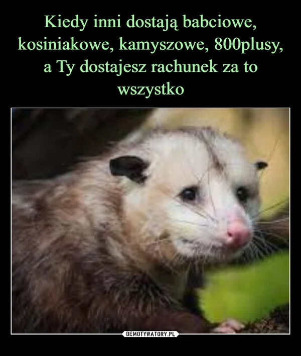 
    Kiedy inni dostają babciowe, kosiniakowe, kamyszowe, 800plusy, a Ty dostajesz rachunek za to wszystko