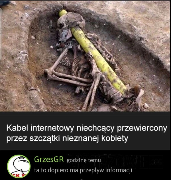 
    Kabel