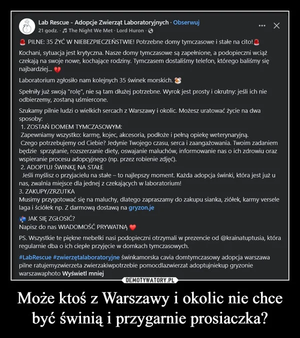
    Może ktoś z Warszawy i okolic nie chce być świnią i przygarnie prosiaczka?