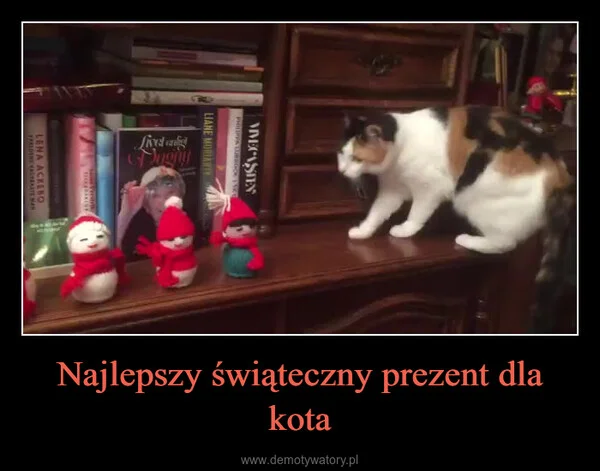 
    Najlepszy świąteczny prezent dla kota