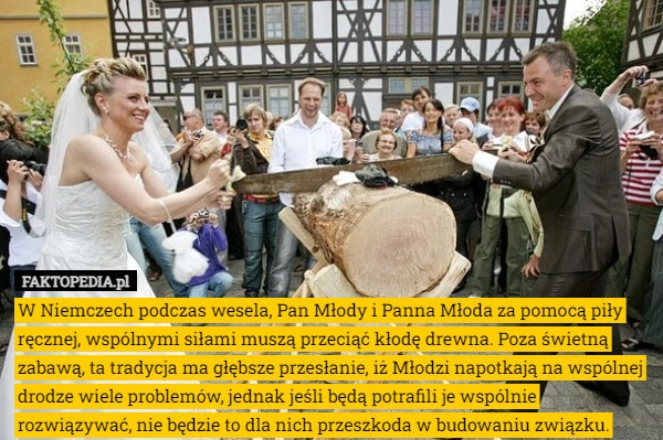 
    W Niemczech podczas wesela, Pan Młody i Panna Młoda za pomocą piły ręcznej,