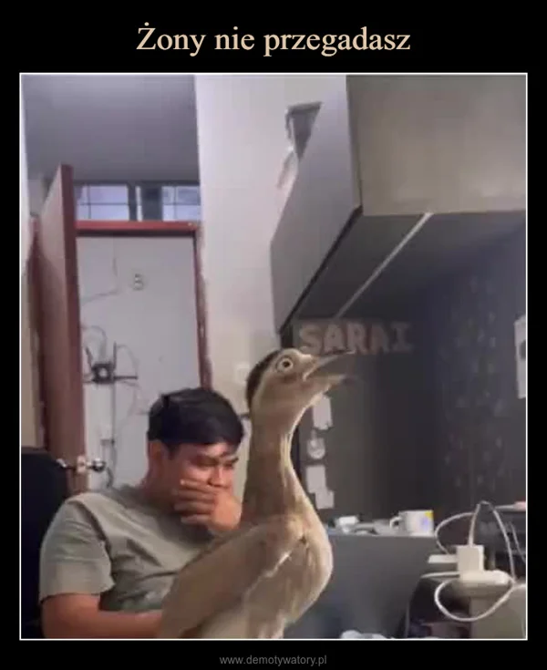 
    Żony nie przegadasz