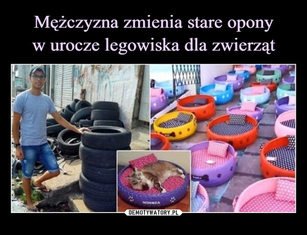 
    Mężczyzna zmienia stare opony
w urocze legowiska dla zwierząt