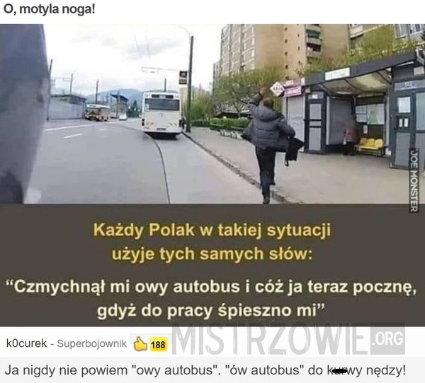 
    
			O, motyla noga!					