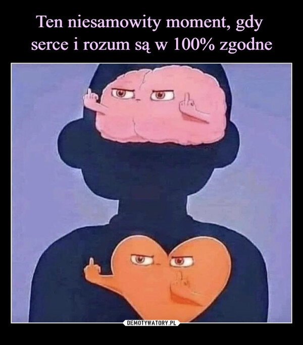 
    Ten niesamowity moment, gdy 
serce i rozum są w 100% zgodne