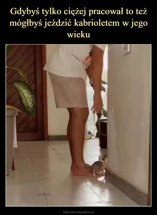 
    Gdybyś tylko ciężej pracował to też mógłbyś jeździć kabrioletem w jego wieku