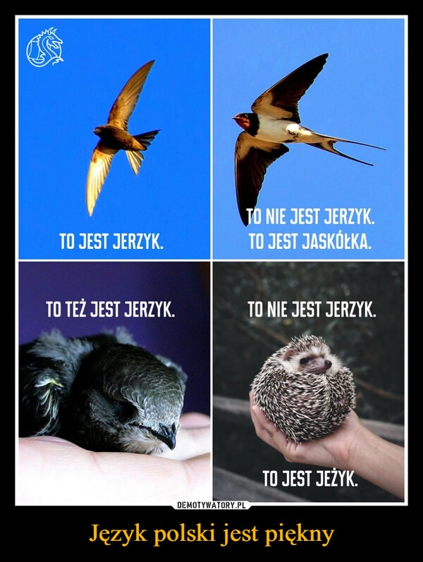 
    Język polski jest piękny