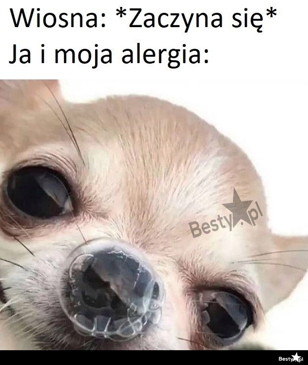 
    Alergia 