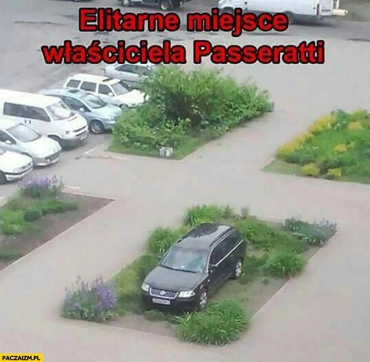 
    Elitarne miejsce właściciela Passeratti