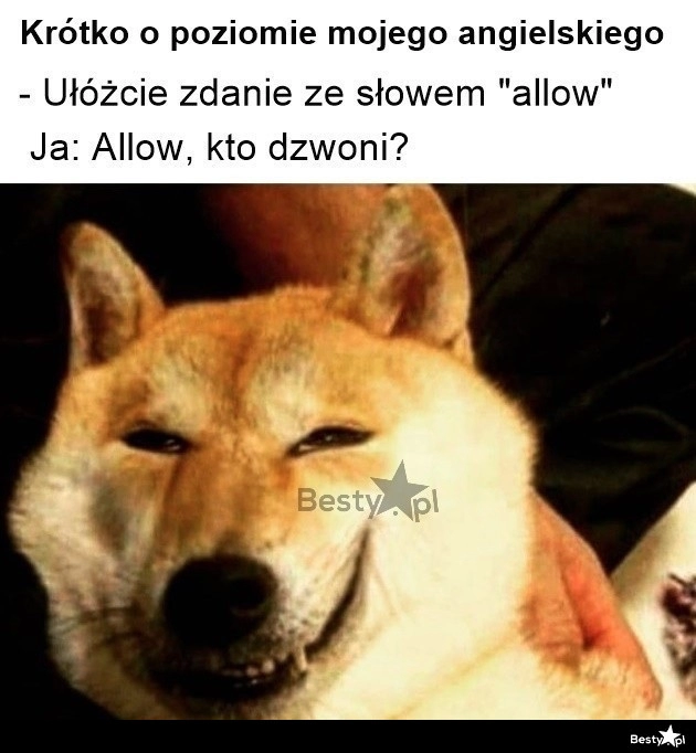 
    Matura pójdzie gładko 