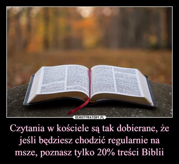 
    Czytania w kościele są tak dobierane, że jeśli będziesz chodzić regularnie na msze, poznasz tylko 20% treści Biblii