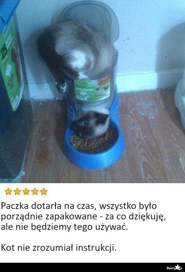 
    Problemy z użytkownikiem 