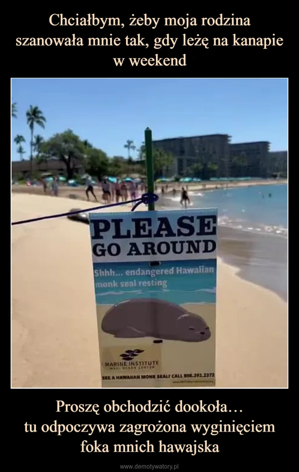 
    Chciałbym, żeby moja rodzina szanowała mnie tak, gdy leżę na kanapie w weekend Proszę obchodzić dookoła… tu odpoczywa zagrożona wyginięciem foka mnich hawajska