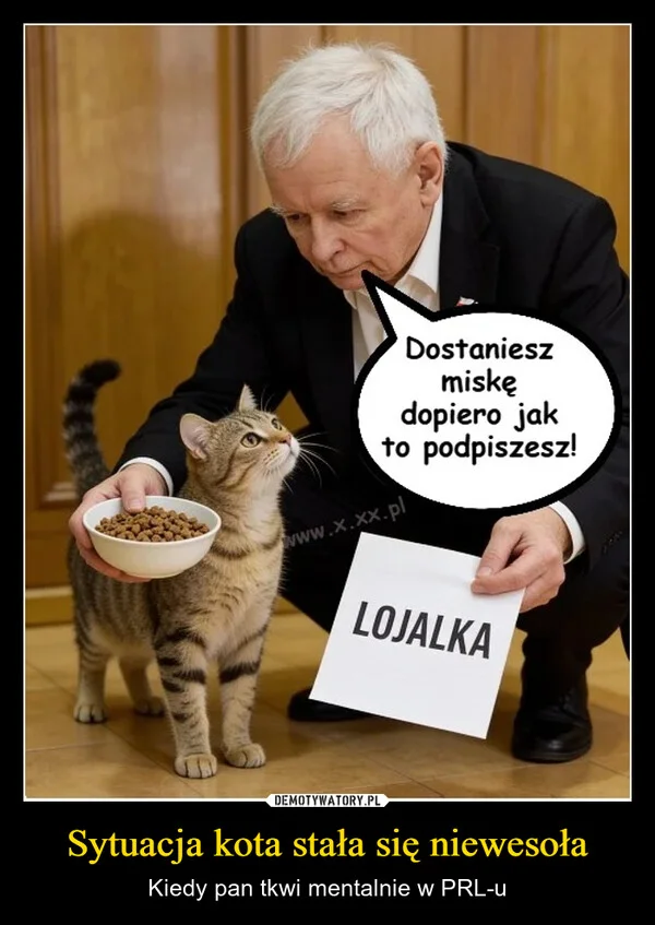 
    Sytuacja kota stała się niewesoła