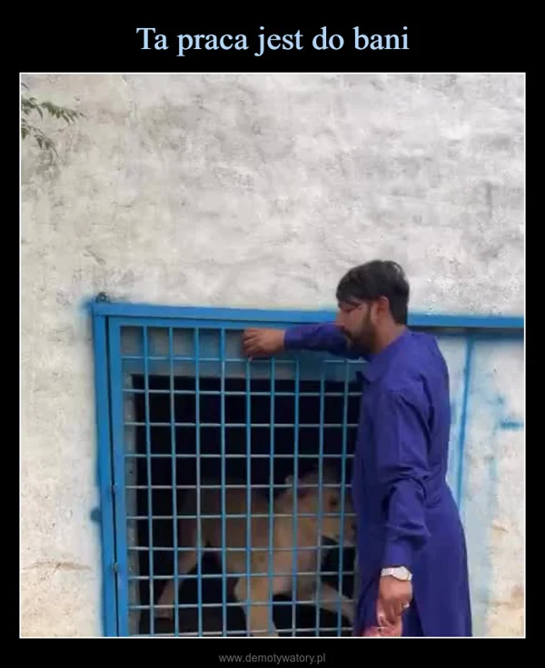 
    Ta praca jest do bani