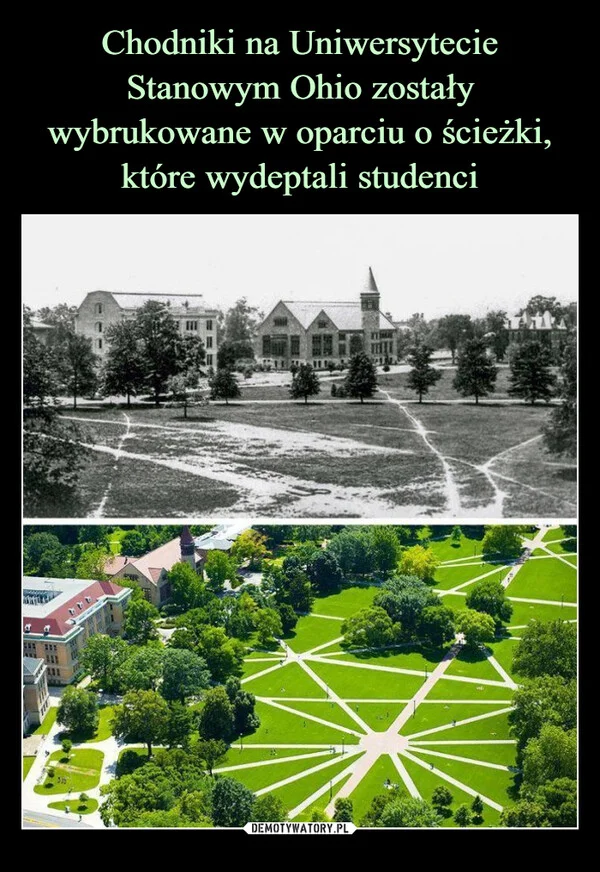 
    Chodniki na Uniwersytecie Stanowym Ohio zostały wybrukowane w oparciu o ścieżki, które wydeptali studenci
