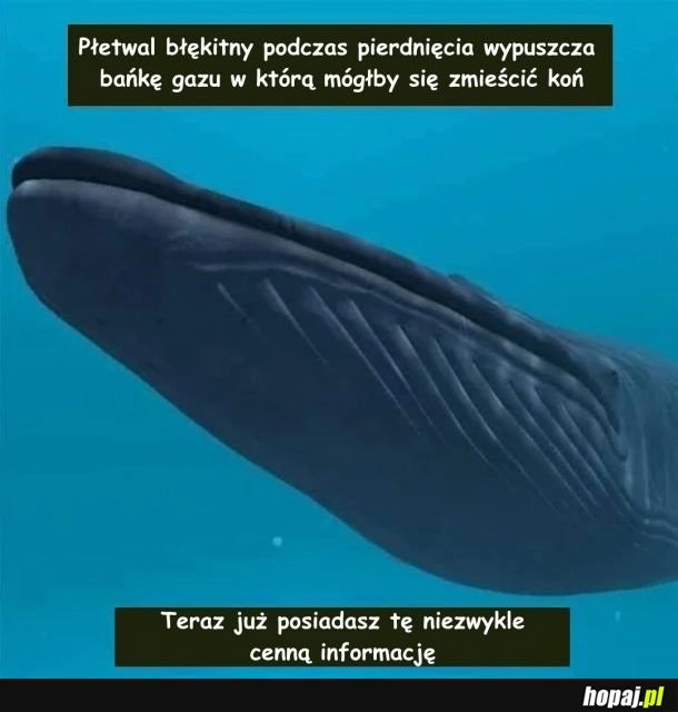 
    Z biologią na co dzień