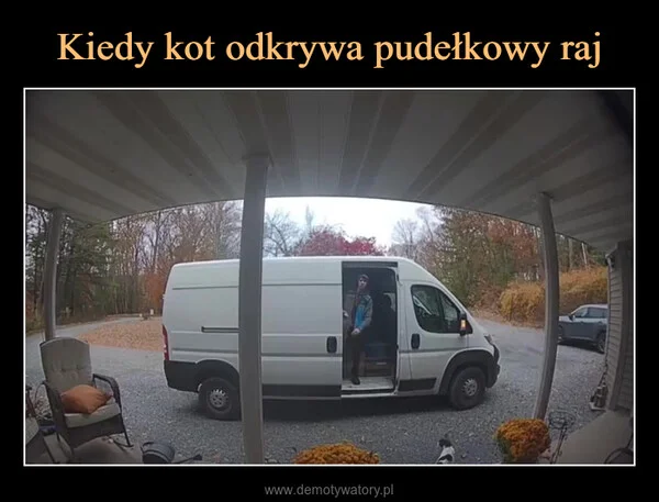 
    Kiedy kot odkrywa pudełkowy raj