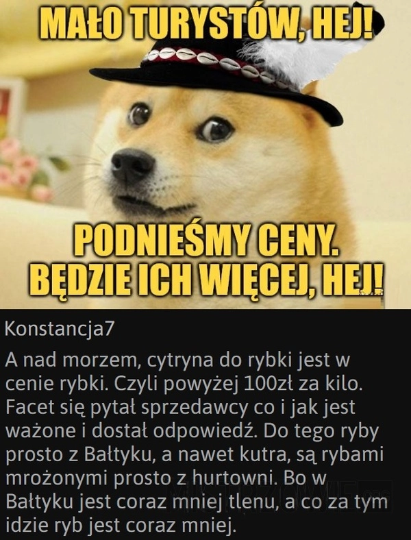 
    Górale
