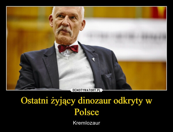 
    Ostatni żyjący dinozaur odkryty w Polsce