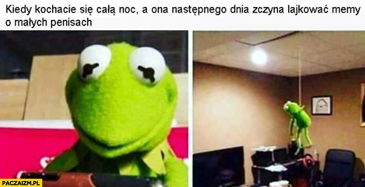 
    Kiedy kochacie się całą noc a ona następnego dnia zaczyna lajkować memy o małych penisach Kermit