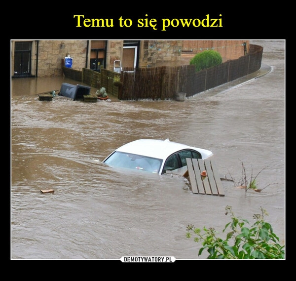 
    Temu to się powodzi