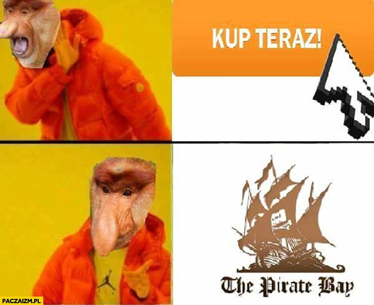 
    Kup teraz nie chce, Pirate Bay tak. Typowy Polak nosacz małpa Drake