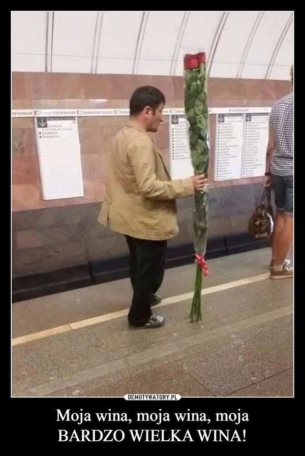 
    Moja wina, moja wina, moja BARDZO WIELKA WINA!