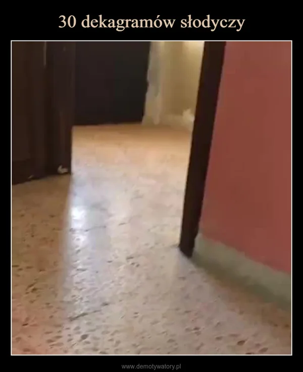 
    30 dekagramów słodyczy