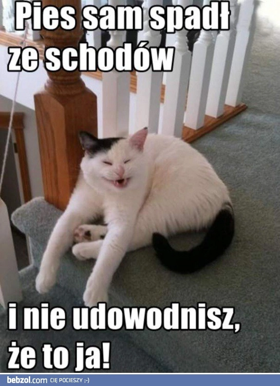 
    Sam spadł