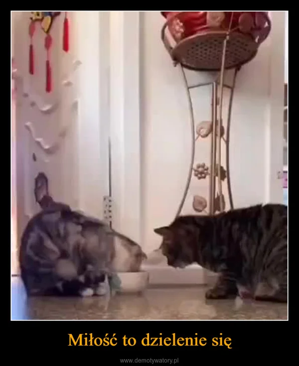 
    Miłość to dzielenie się