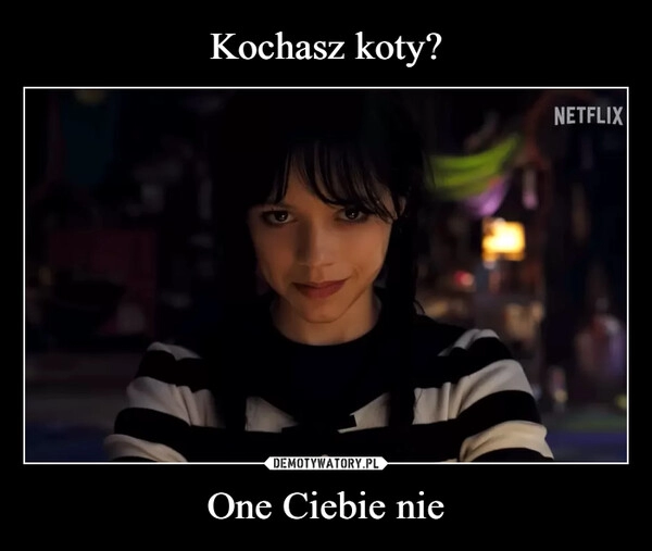 
    Kochasz koty? One Ciebie nie