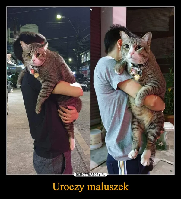 
    Uroczy maluszek
