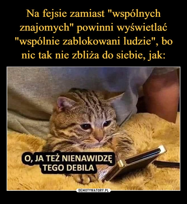 
    Na fejsie zamiast "wspólnych znajomych" powinni wyświetlać "wspólnie zablokowani ludzie", bo nic tak nie zbliża do siebie, jak: