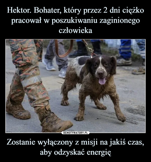 
    
Hektor. Bohater, który przez 2 dni ciężko pracował w poszukiwaniu zaginionego człowieka Zostanie wyłączony z misji na jakiś czas, aby odzyskać energię 