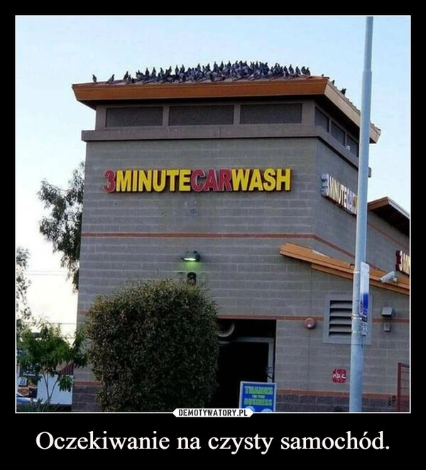 
    Oczekiwanie na czysty samochód.